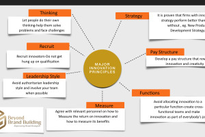 Major Innovation Principles for an effective Brand Management